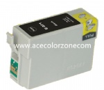 Epson T0971 Ink Carridge